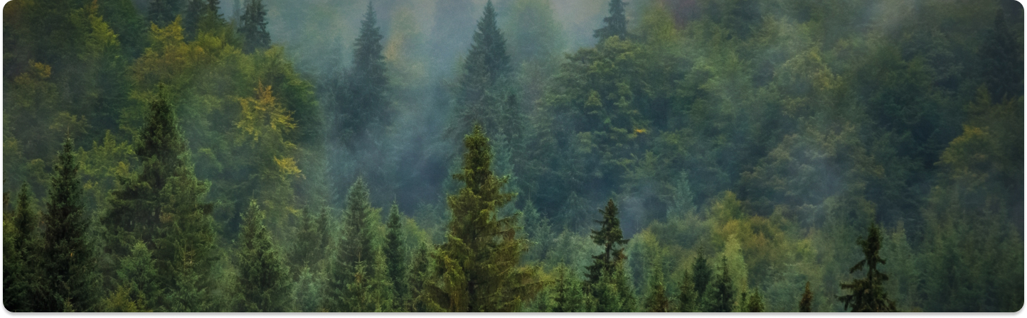 Kategorie do prirody